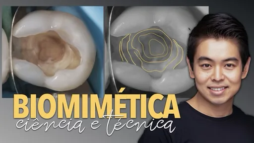 Biomimética